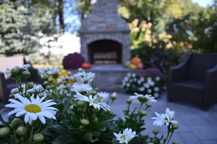 Simple Landscape Design