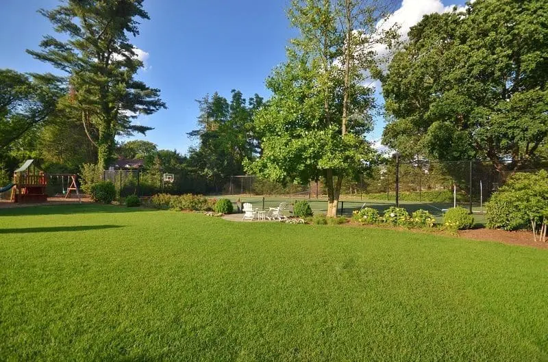 Lush Green Lawn in Backyard