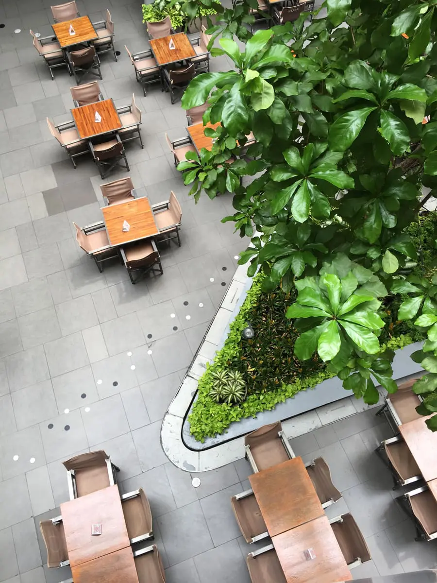 Landscape Design