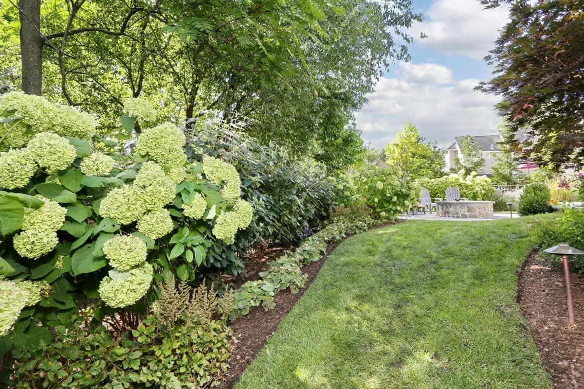 Ridgewood, NJ Landscape Maintenance Services