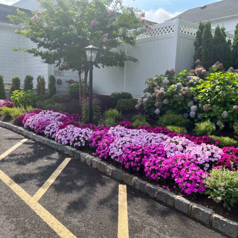 Ridgewood, NJ Commercial Landscape Installation