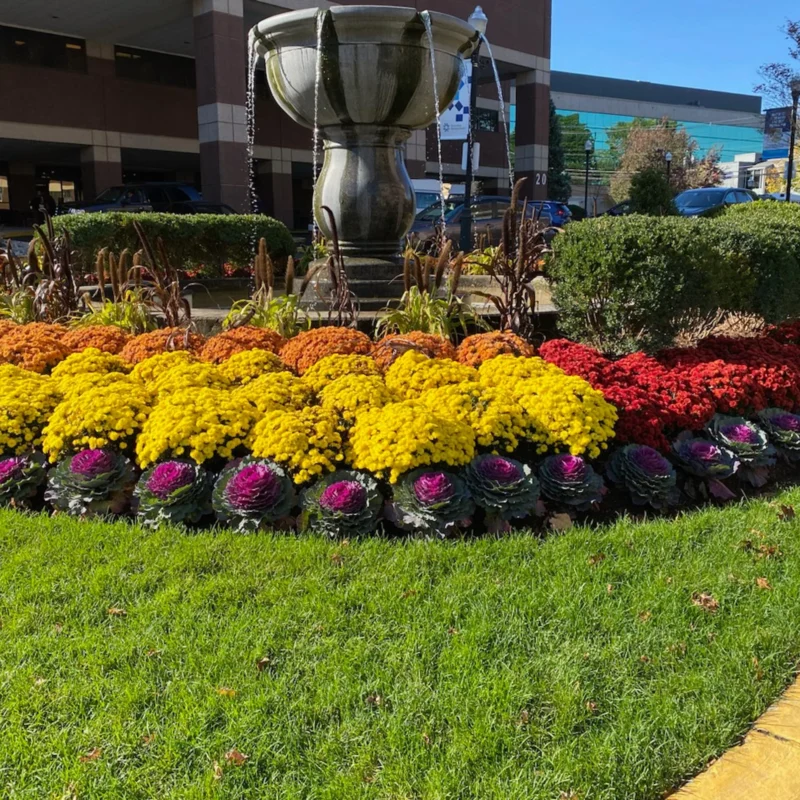 Ridgewood, NJ Commercial Landscaping Companies